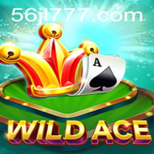 WildAce: A Thrilling New Experience in Interactive Gaming
